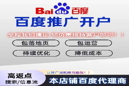 百度运营推广策略解析，看这些成功案例